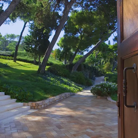 Heritage Martinis Marchi Maslinica