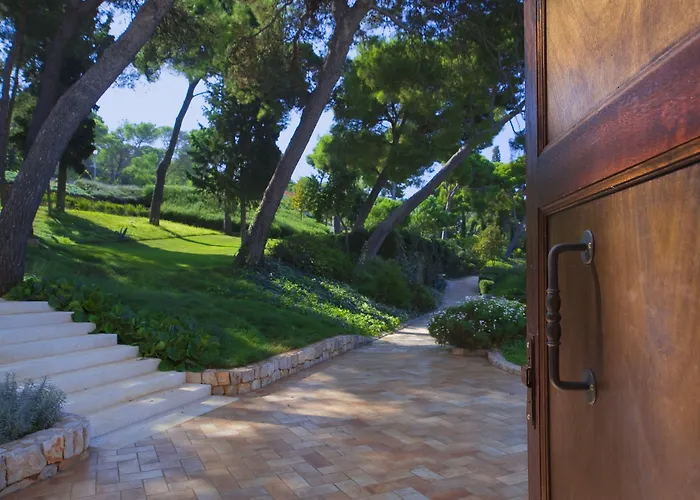 Heritage Martinis Marchi Maslinica